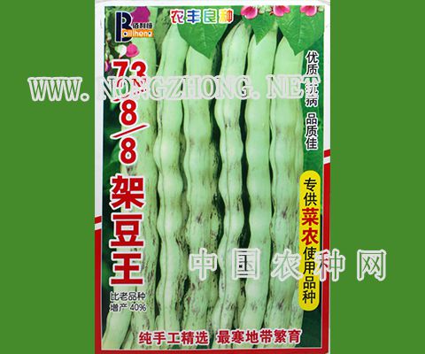 73-8-8架豆王豆角种子